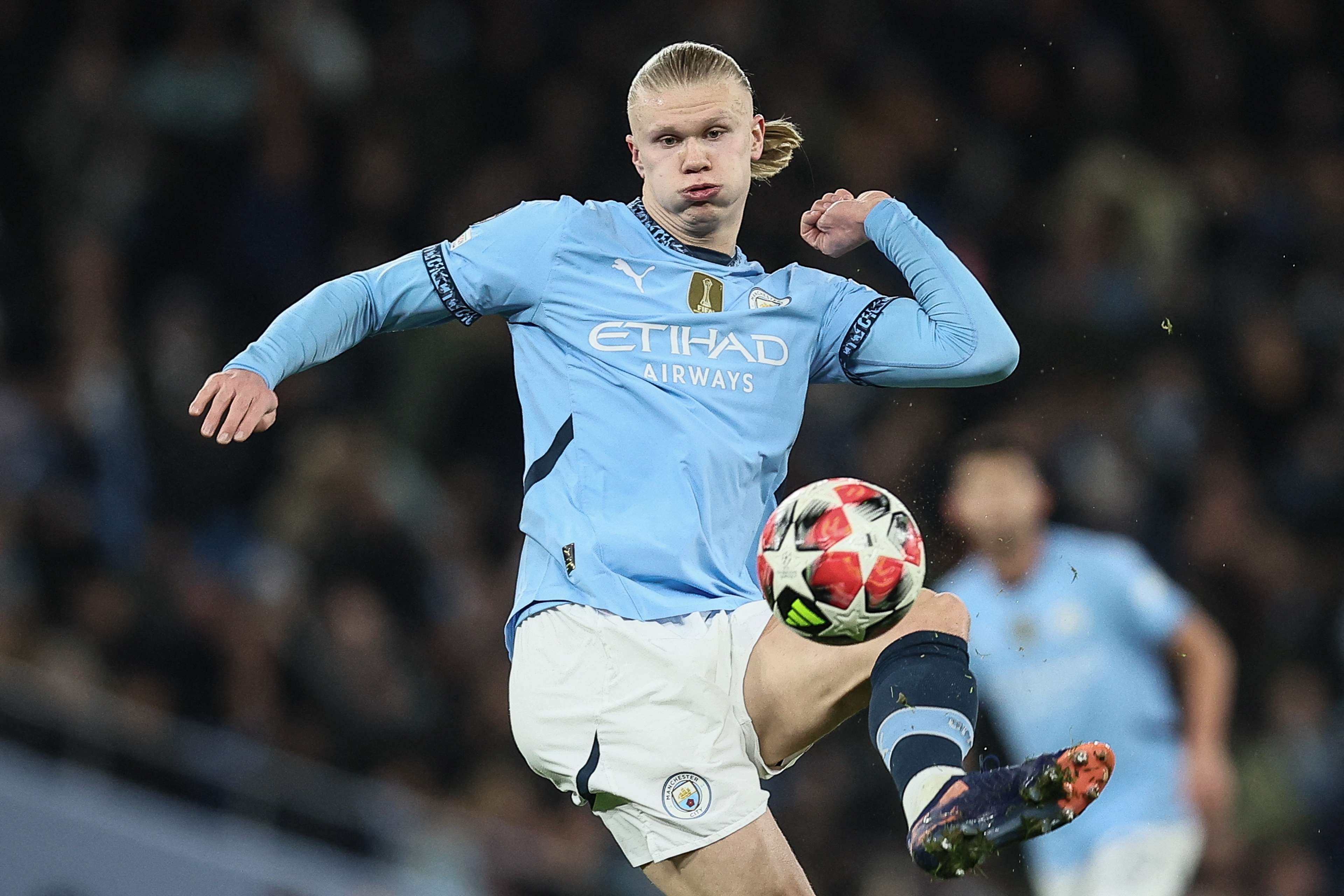 杯的赛场上 杯的赛场上